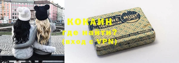соль ск Богородск