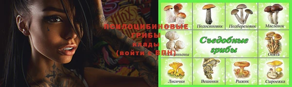 соль ск Богородск