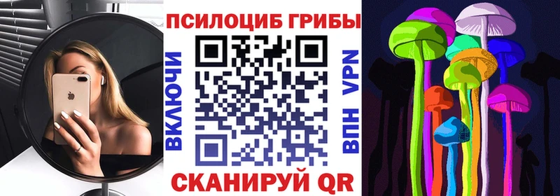 Псилоцибиновые грибы Psilocybine cubensis  Новороссийск 
